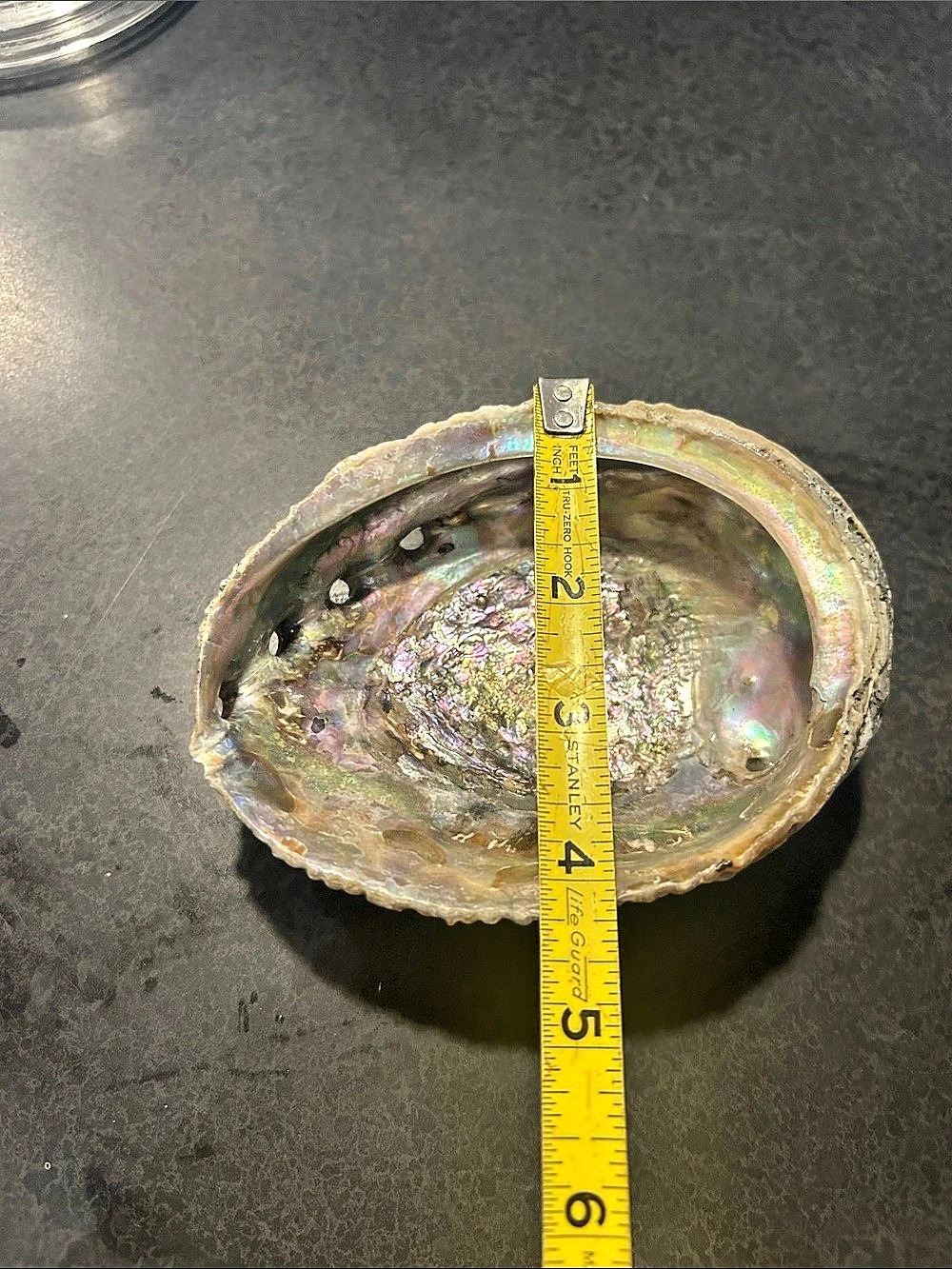 Iridescent Abalone Shell Decor - Picture 3 of 7
